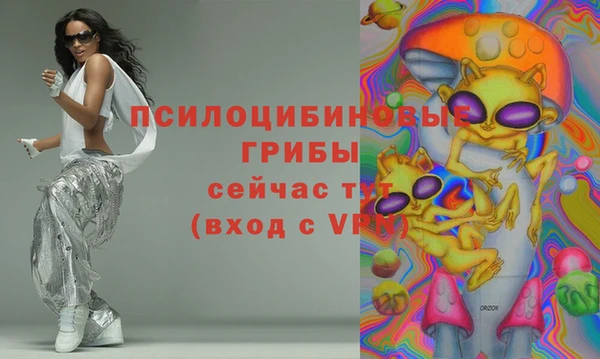 кокс Баксан